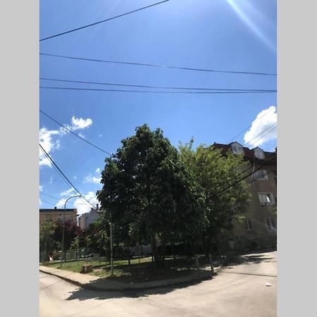 Cozy Apartment In The Old Center Of Prishtina プリシュティナ エクステリア 写真